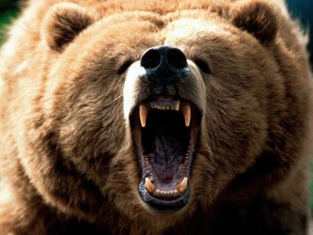 ours