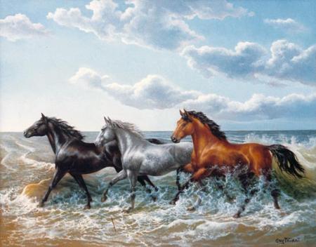 cheval é mer