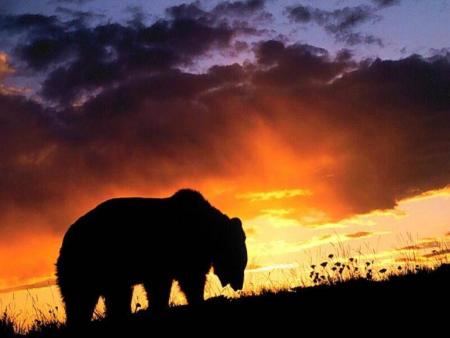 ours